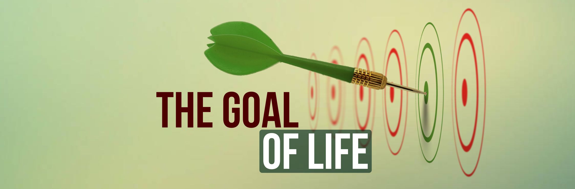 The Goal of Life - QomTV