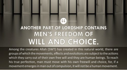 Men's Freedom of Will and Choice (Ayatollah Misbah Yazdi)