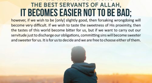 Best Servants of Allah (Alireza Panahian)
