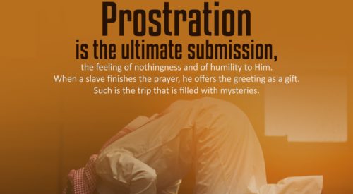 Prostration (Ayatollah Taqi Bahjat)
