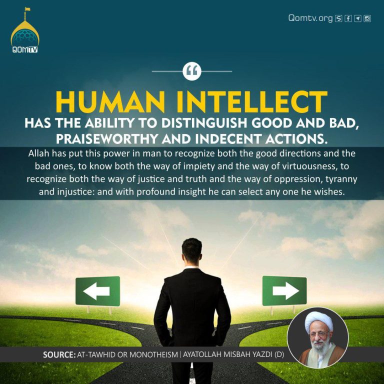 Human Intellect (Ayatollah Misbah Yazdi)