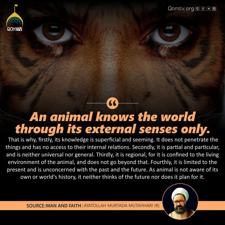 Animal Knowledge (Ayatollah Murtada Mutahhari)