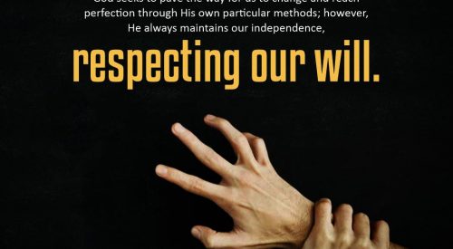Respecting Our Will (Alireza Panahian)