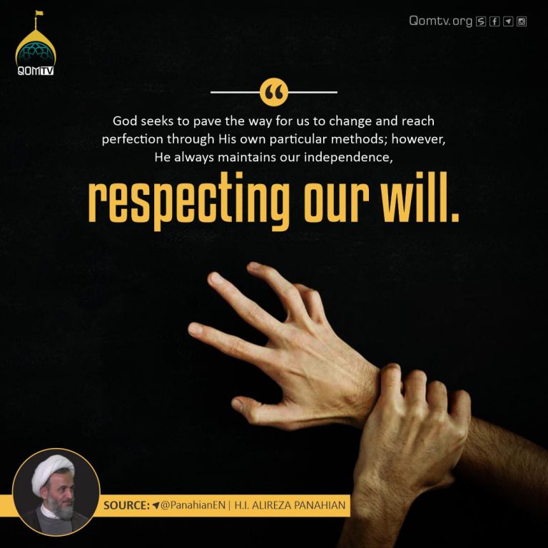 Respecting Our Will (Alireza Panahian)