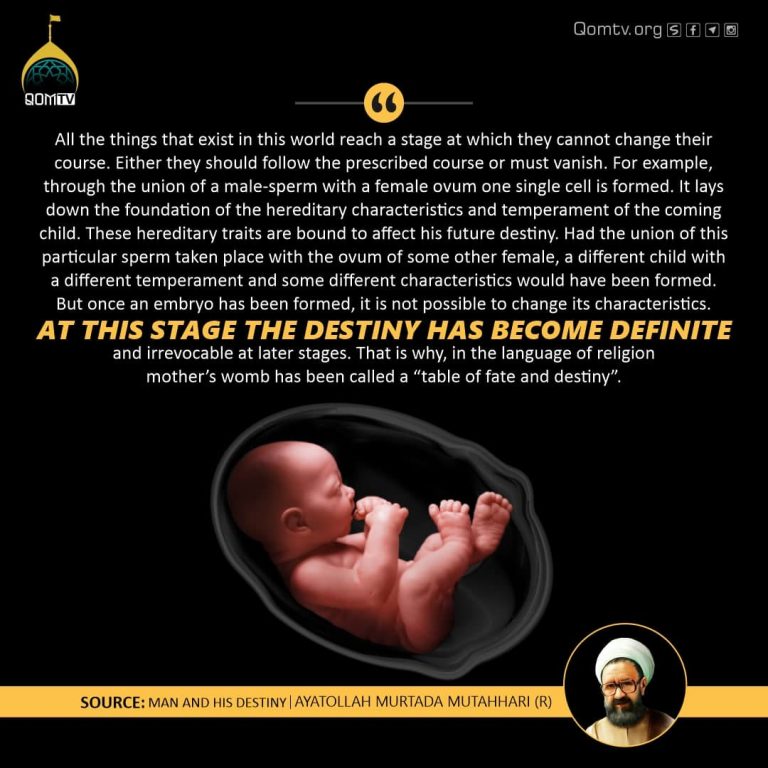 Man and his Destiny ( Ayatollah Murtaza Mutahhri)