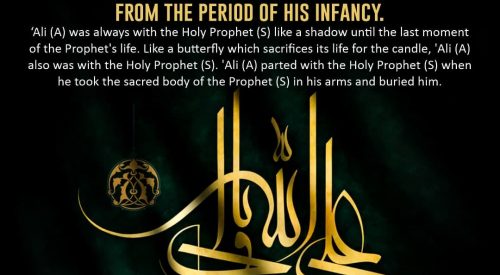 Imam Ali (a) Educate by the Holy Prophet (S)