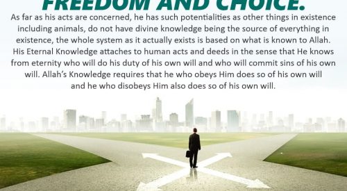 Freedom and Choice (Ayatollah Murada Mutahhari)