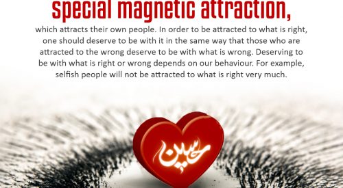Special Magnetic Attraction ( Alireza Panahian)