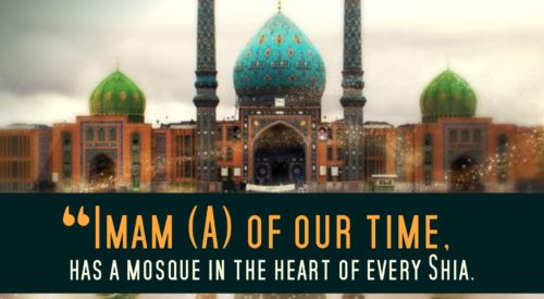 Imam (A) of our Time (Ayatollah Taqi Bahjat)