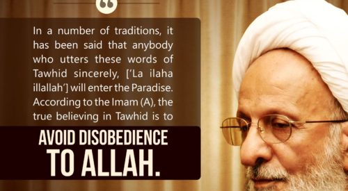 Avoid Disobedience of Allah (Ayatollah Misbah Yazdi)