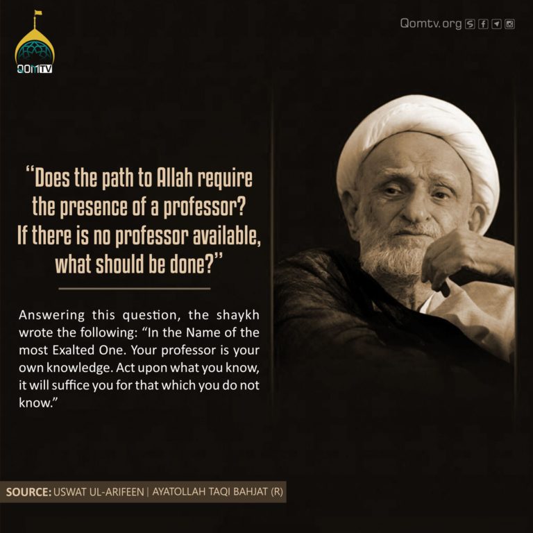 Path to Allah (Ayatollah Taqi Bahjat)